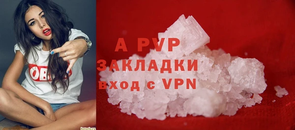 сатива Алзамай