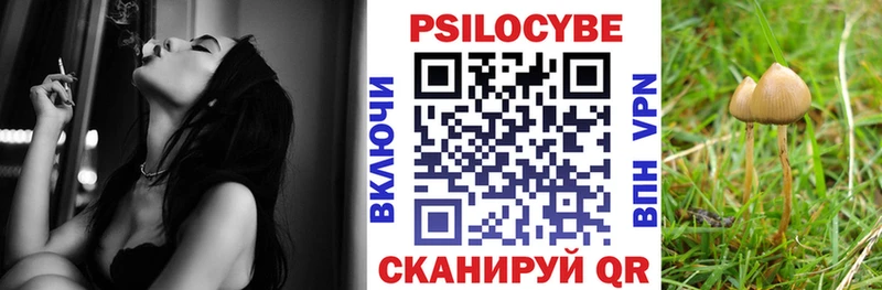 Галлюциногенные грибы мицелий  blacksprut маркетплейс  Среднеколымск  закладка 